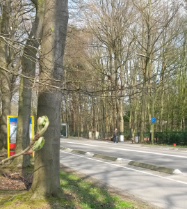 Lente Heerderweg2
